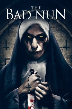 The Bad Nun 2018 Hindi Dual Audio 720p HDRip [900MB] Movie Poster