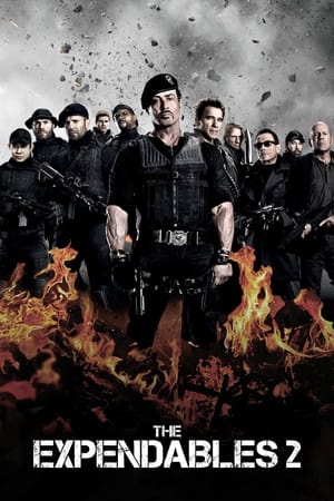 The Expendables 2 (2012) 100mb Hindi Dual Audio movie Hevc BRRip Download Movie Poster