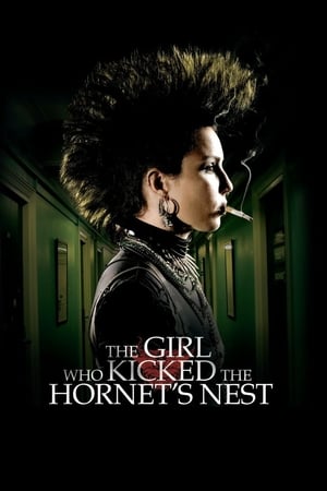 The Girl Who Kicked the Hornet's Nest (2009) Hindi Dual Audio 720p BluRay [1.2GB] Movie Poster