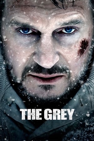 The Grey 2011 Hindi Dual Audio 480p BluRay 360MB Movie Poster