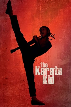 The Karate Kid 2010 Hindi Dubbed 300MB 480p Full Movie Movie Poster