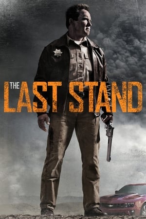 The Last Stand (2013) Hindi Dual Audio 720p BluRay [950MB] Movie Poster