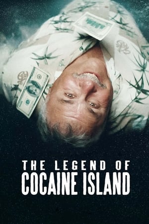 The Legend of Cocaine Island (2019) Hindi Dubbed 720p Web-DL [860MB] Movie Poster