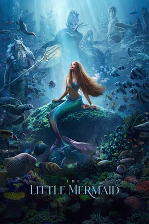 The Little Mermaid (2023) Hindi (ORG 5.1) HDRip | 720p | 480p Movie Poster