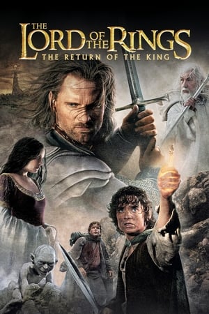 The Lord of the Rings: The Return of the King (2003) Hindi Dubbed BluRay 720p [1.8GB] Download Movie Poster