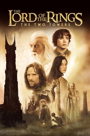 The Lord of the Rings: The Two Towers 2002 Hindi Dual Audio WEB-DL 1080p - 720p - 480p Movie Poster