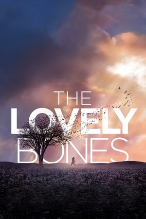 The Lovely Bones (2009) Hindi Dual Audio 720p BluRay [1GB] Movie Poster