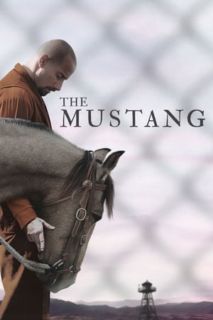 The Mustang (2019) Hindi Dual Audio 720p BluRay [900MB] Movie Poster