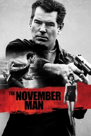 The November Man 2014 Dual Audio [Hindi – English] BluRay 480p – 720p – 1080p Movie Poster