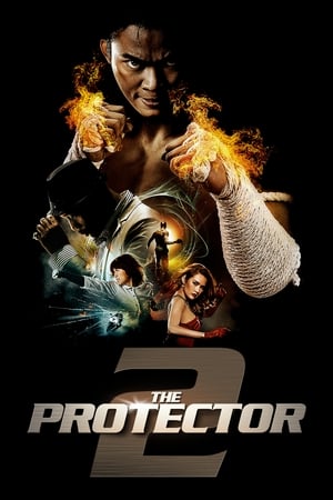 The Protector 2 (2013) 100mb Hindi Dual Audio movie Hevc BRRip Download Movie Poster