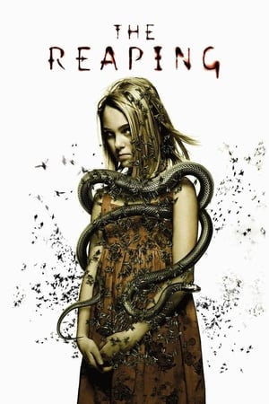 The Reaping (2007) Hindi Dual Audio 480p BluRay 340MB Movie Poster