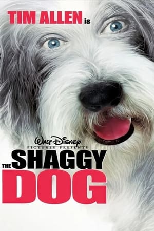 The Shaggy Dog (2006) Hindi Dual Audio 480p BluRay 300MB Movie Poster