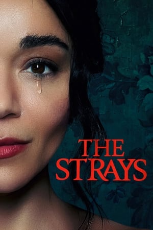 The Strays 2023 Hindi Dual Audio HDRip 720p – 480p Movie Poster