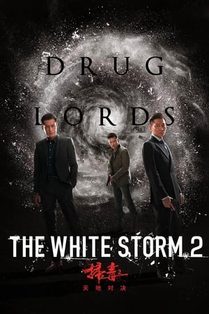 The White Storm 2: Drug Lords (2019) Hindi (Org) 480p HDRip 300MB Movie Poster