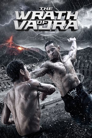 The Wrath of Vajra (2013) Hindi Dual Audio 480p BluRay 350MB Movie Poster