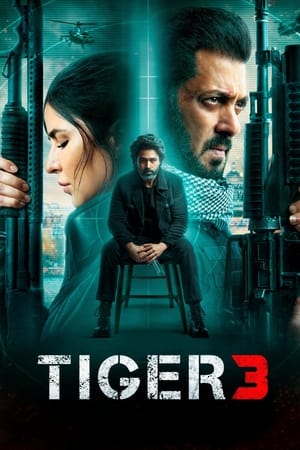 Tiger 3 2023 Hindi (ORG) Web-DL 720p – 480p Movie Poster