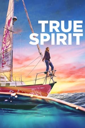 True Spirit (2023) Hindi Dual Audio HDRip 720p – 480p Movie Poster