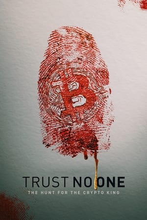 Trust No One: The Hunt for the Crypto King (2022) Hindi Dual Audio HDRip 720p – 480p Movie Poster