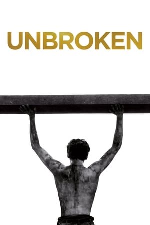 Unbroken (2014) Hindi Dual Audio 480p BluRay 450MB Movie Poster