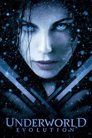 Underworld Evolution (2006) 100mb Hindi Dual Audio movie Hevc BRRip Download Movie Poster