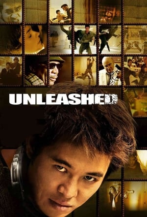 Unleashed (2005) Hindi Dual Audio 720p BluRay [1.1GB] Movie Poster