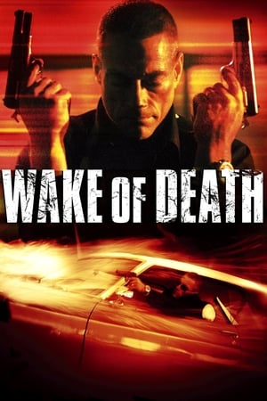 Wake of Death 2004 Hindi Dual Audio 480p BluRay 300MB Movie Poster