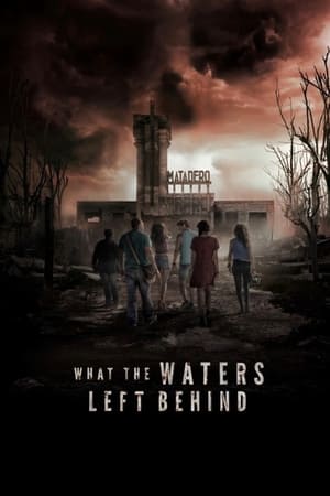 What the Waters Left Behind 2017 Hindi Dual Audio HDRip 720p – 480p Movie Poster