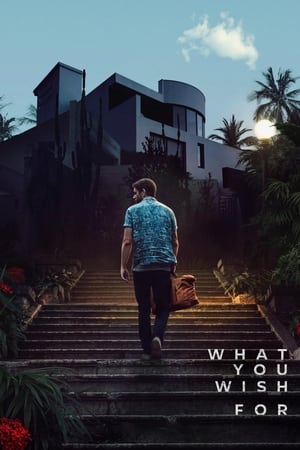 What You Wish For 2023 Dual Audio Hindi HDRip 720p – 480p – 1080p Movie Poster