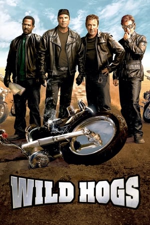 Wild Hogs (2007) Hindi Dual Audio 480p BluRay 340MB Movie Poster