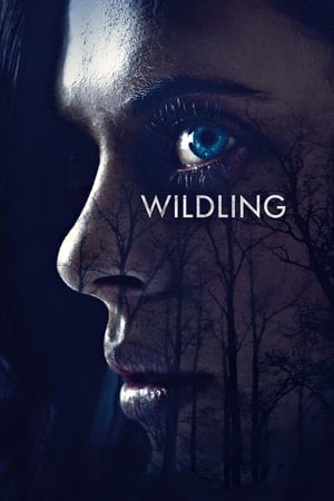 Wildling (2018) Movie (English) 720p HDRip [700MB] Movie Poster