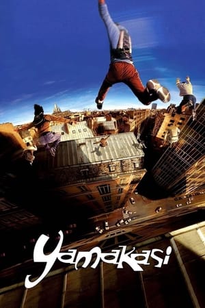 Yamakasi 2001 Hindi Dual Audio 720p BluRay [980MB] Movie Poster