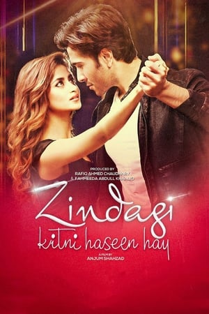 Zindagi Kitni Haseen Hay (2016) Pakistani Movie 480p HDRip Download Movie Poster